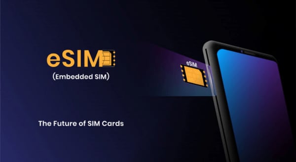 how to set up your cell phone for business and personal use esim